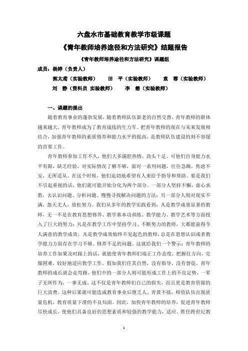 青年教师培养途径和方法研究课题结题报告MicrosoftWord文档