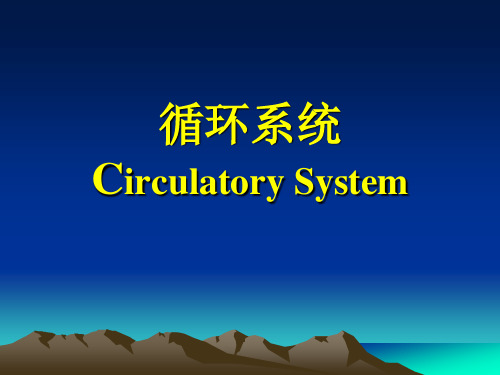 循环系统正常及基本病变影像表现PPT