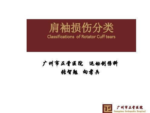 肩袖损伤分类方法