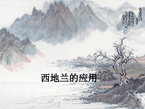 西地兰的应用ppt课件