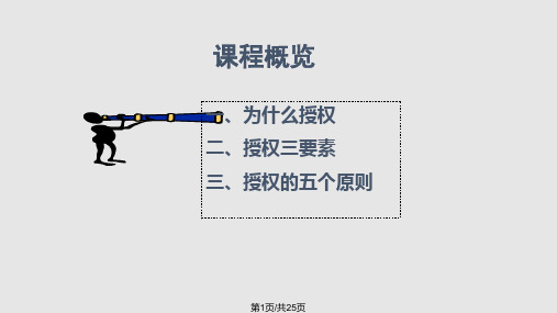 如何进行有效地授权PPT课件
