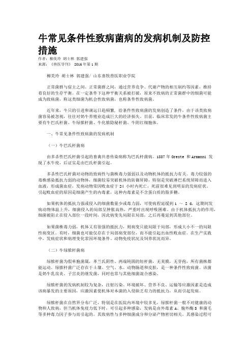 牛常见条件性致病菌病的发病机制及防控措施