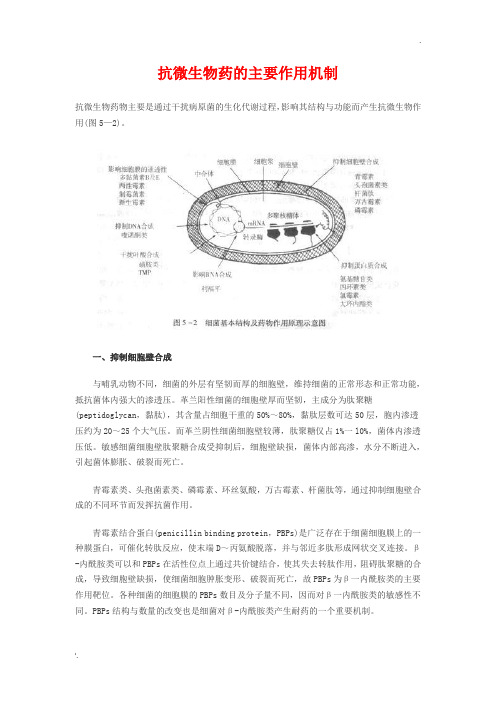 抗微生物药的主要作用机制