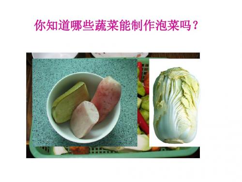制作泡菜并检测亚硝酸盐含量