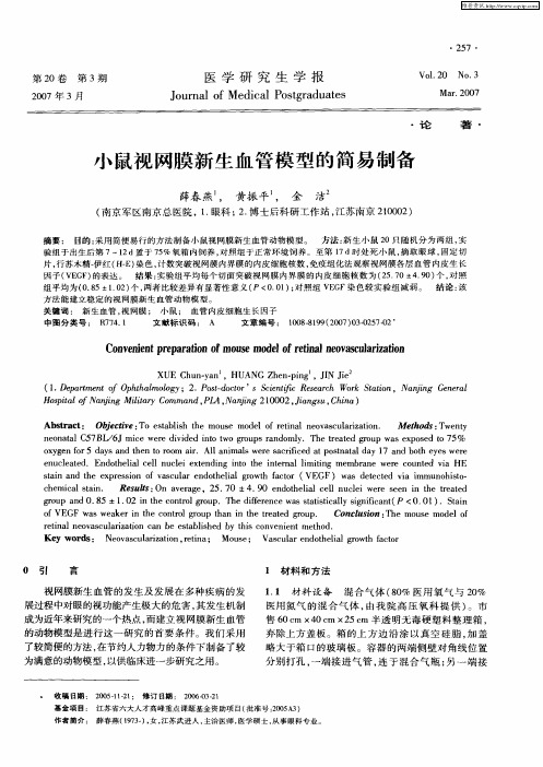 小鼠视网膜新生血管模型的简易制备