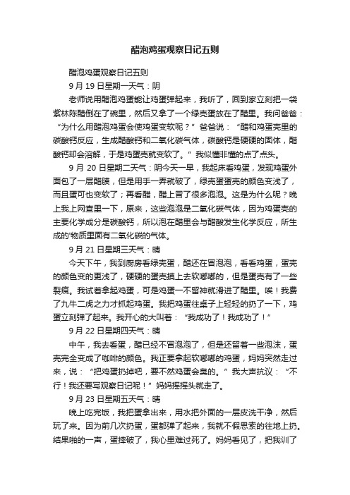 醋泡鸡蛋观察日记五则