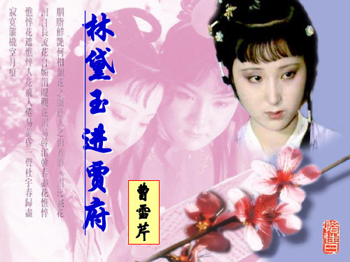优质课一等奖高中语文必修三《林黛玉进贾府》 (3)