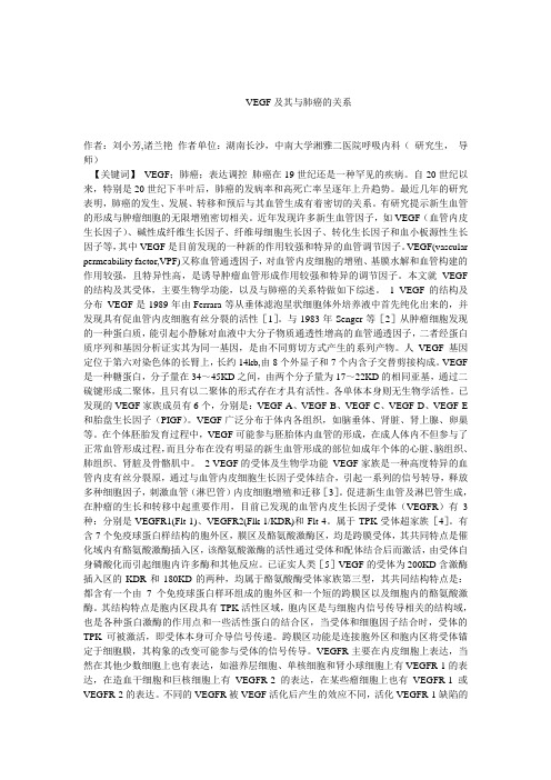 VEGF及其与肺癌的关系
