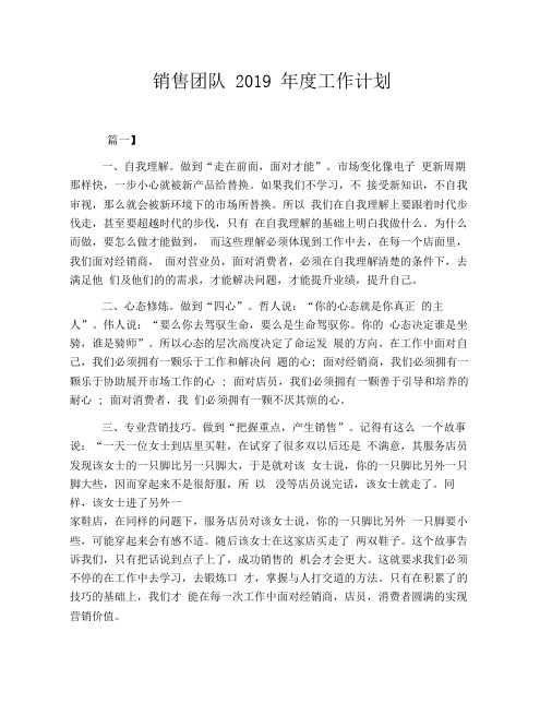 销售团队2019年度工作计划