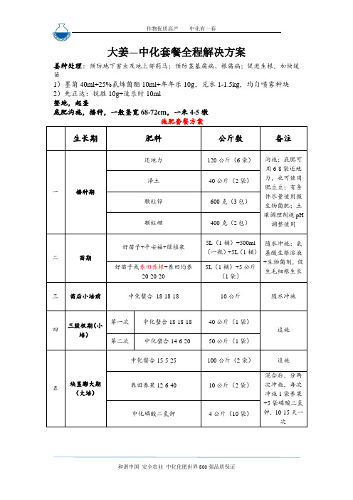 大姜套餐全程解决方案