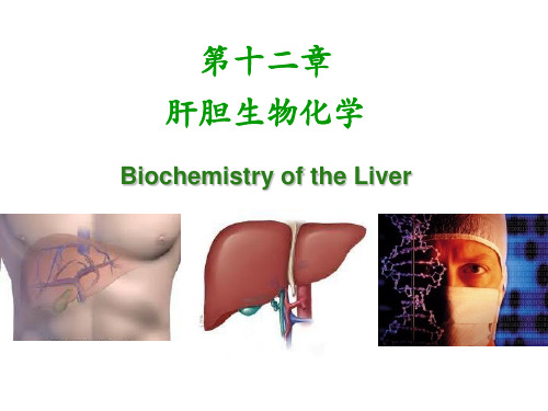 肝胆生化