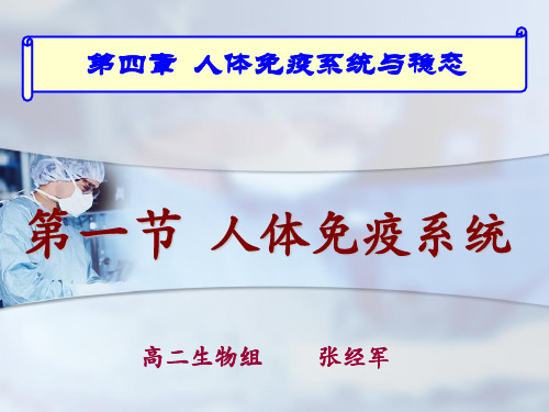 人体免疫系统整理