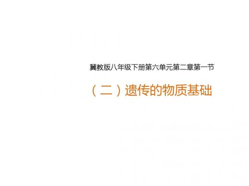 6.2.1.1《遗传的物质基础》(课件)