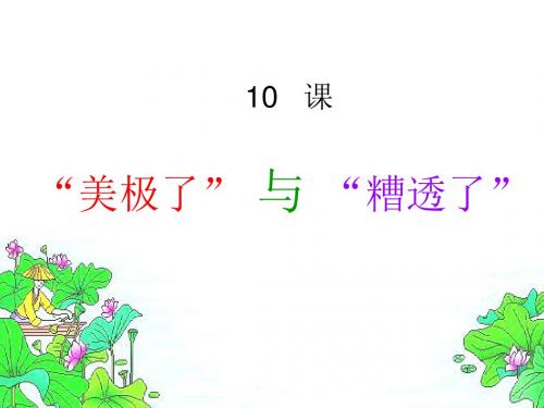 《美极了与糟糕透了》课件
