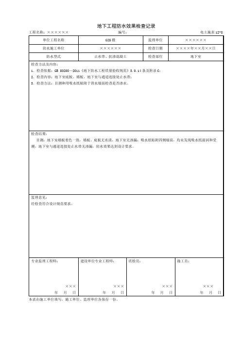 地下工程防水效果检查记录