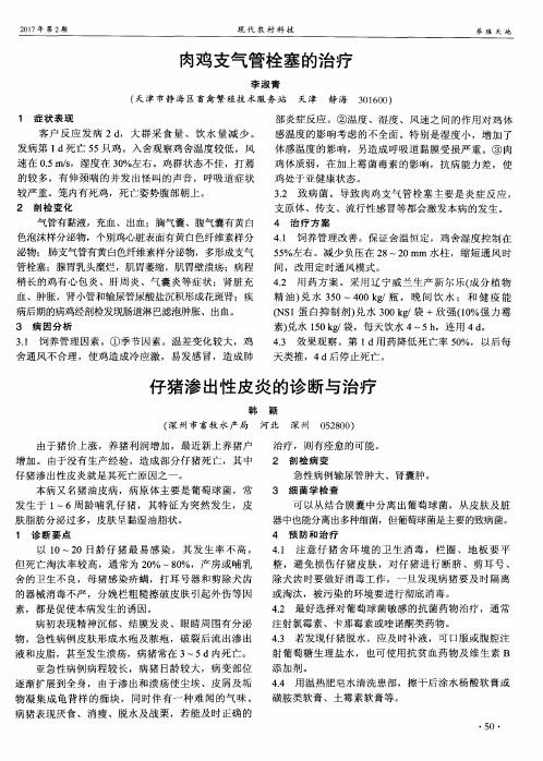 肉鸡支气管栓塞的治疗