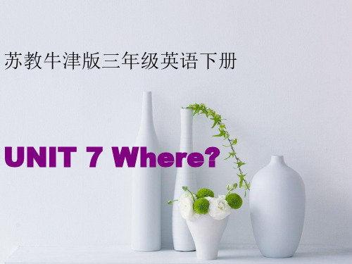 三级英语下册 Unit 7(5)课件 苏教牛津(通用)