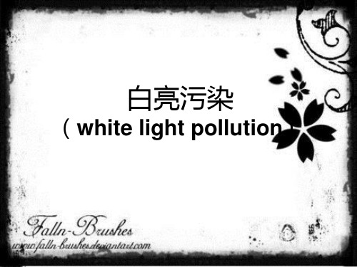 白亮污染
