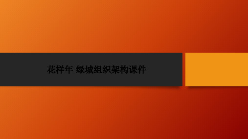 花样年 绿城组织架构课件PPT课件