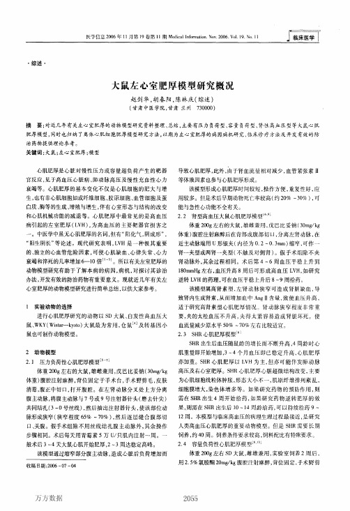 大鼠左心室肥厚模型研究概况