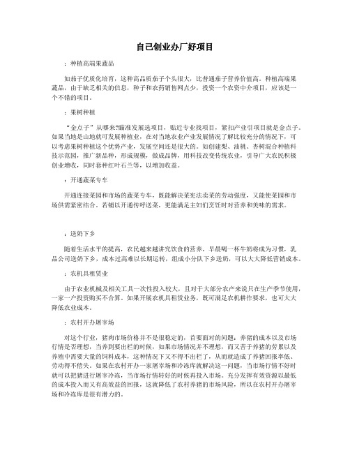自己创业办厂好项目