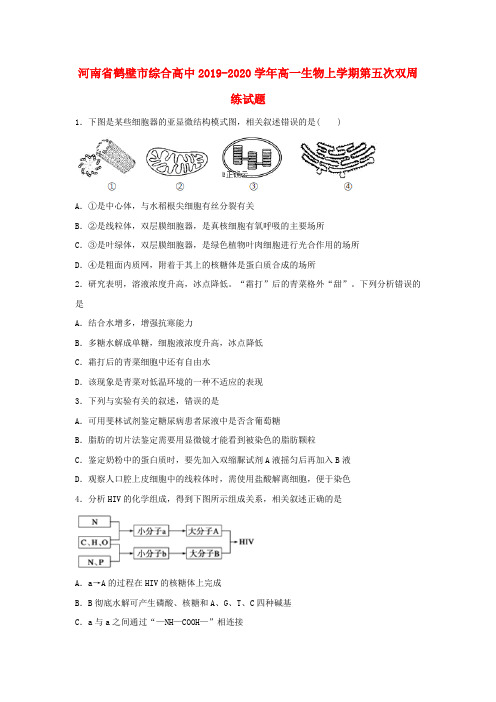 河南省鹤壁市综合高中2019_2020学年高一生物上学期第五次双周练试题