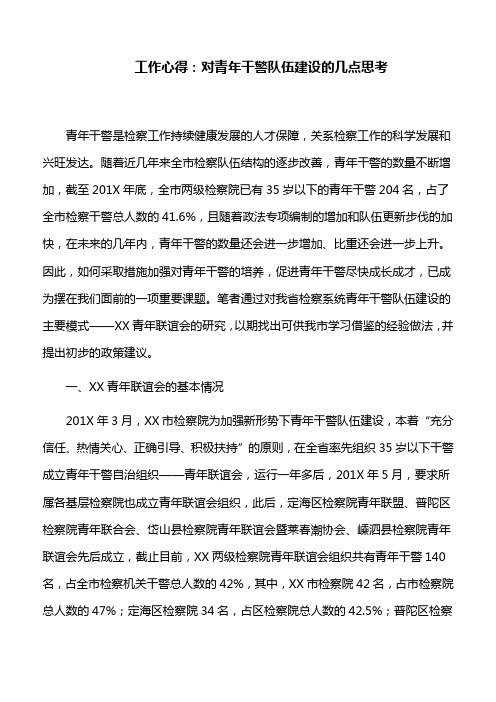 工作心得：对青年干警队伍建设的几点思考