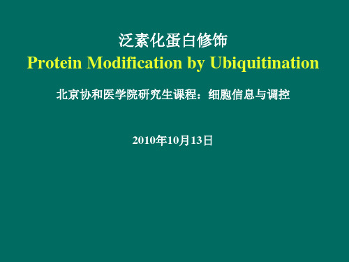 泛素化蛋白修饰