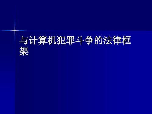 与计算机犯罪斗争的法律框架
