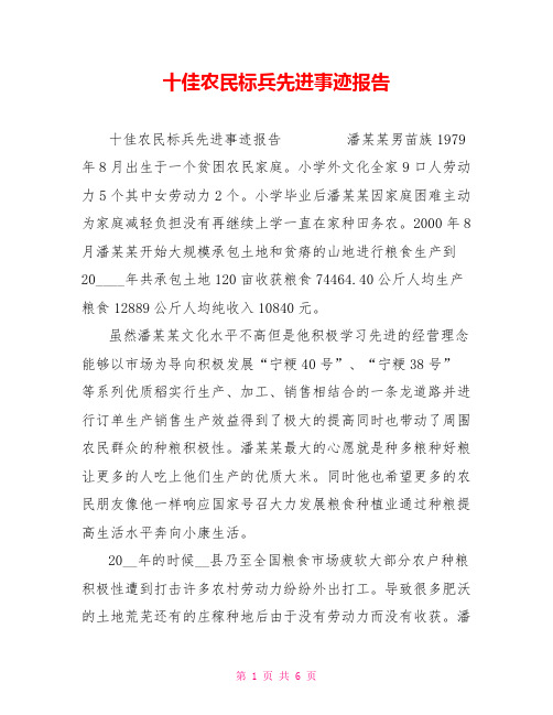 十佳农民标兵先进事迹报告
