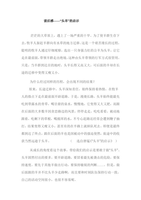 读后感--“头羊”的启示