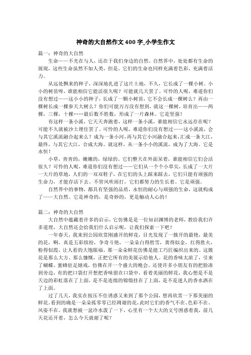 神奇的大自然作文400字_小学生作文