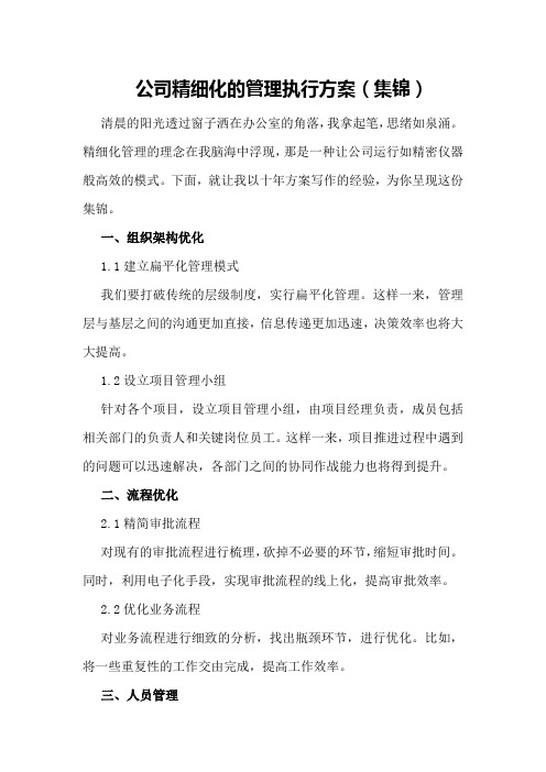 公司精细化的管理执行方案