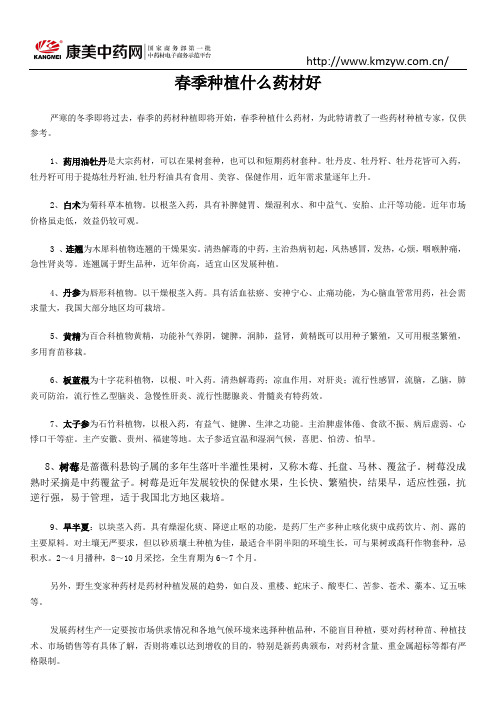 春季种植什么药材好