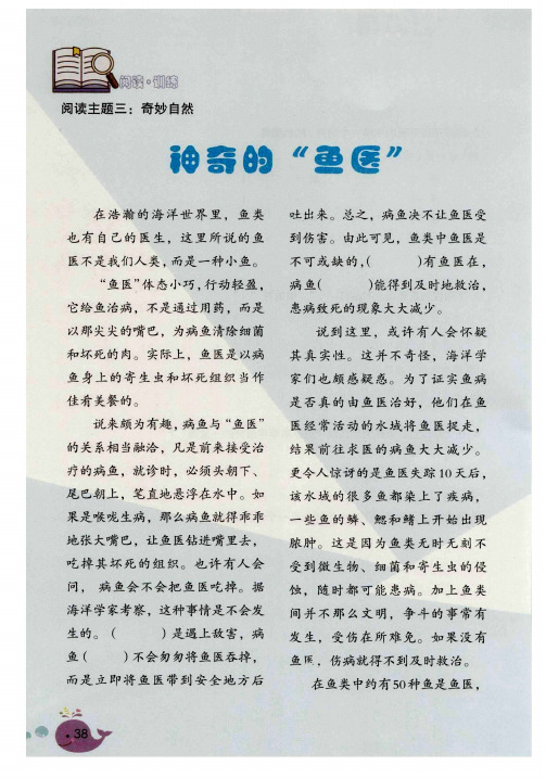神奇的“鱼医”