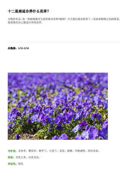 十二星座适合养什么花草
