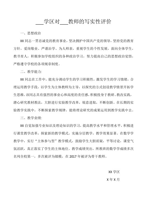 对教师的写实性评价
