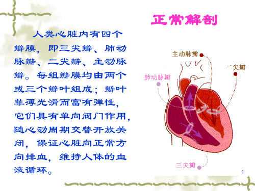 主动脉瓣置换术后的护理PPT课件