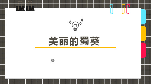 少儿美术创意PPT课件《美丽的蜀葵》