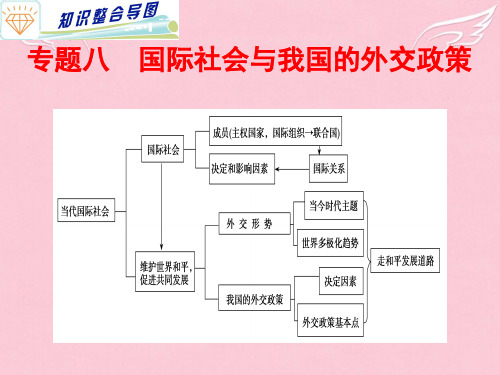 高考政治专题复习 (8)国际社会与我国的外交政策课件