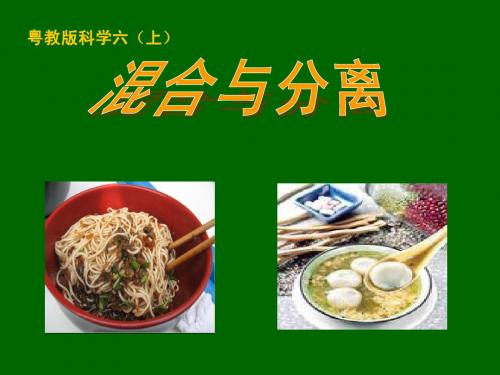 六年级科学混合分离(粤教版)