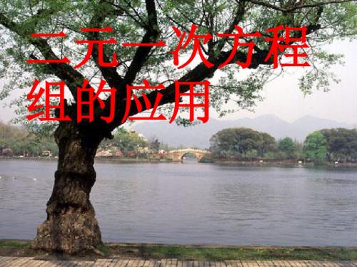 7.4   二元一次方程组综合应用