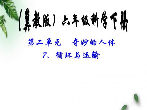 最新冀教版科学小学六年级下册《7循环与运输》公开课课件2