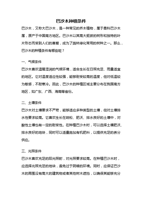 巴沙木种植条件