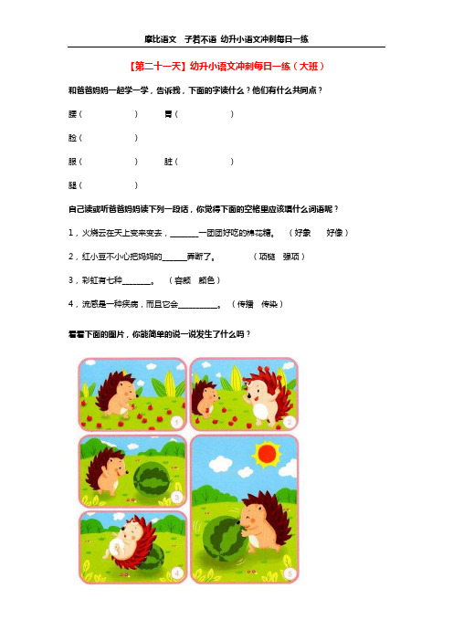 【第二十一天】幼升小语文冲刺每日一练(大班)