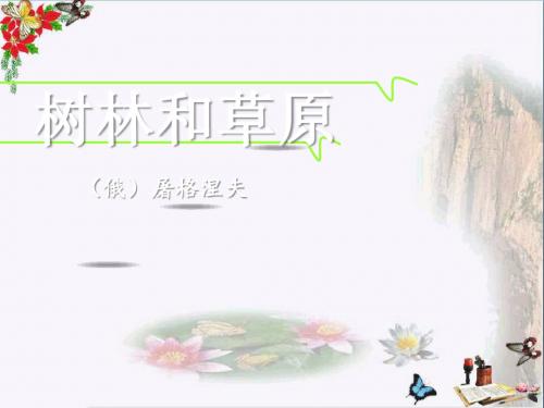 《树林和草原》 精品PPT课件
