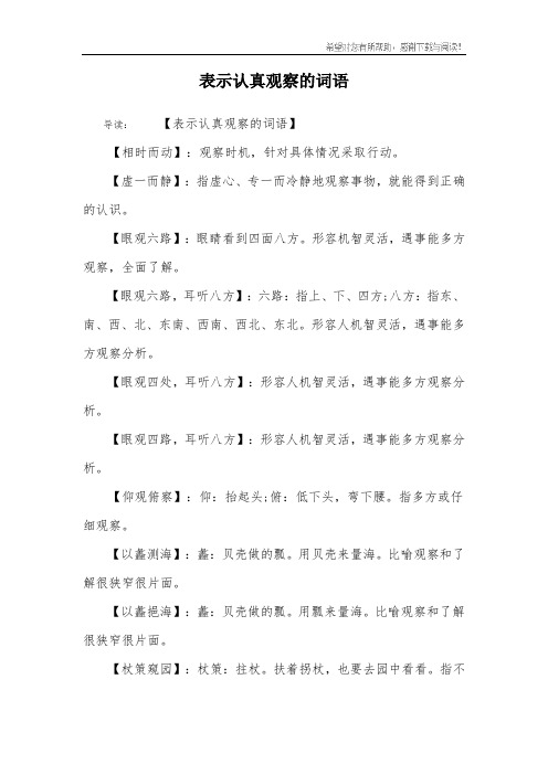 表示认真观察的词语