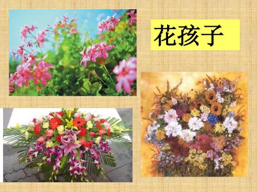 二年级语文下册 花孩子课件 西师大版
