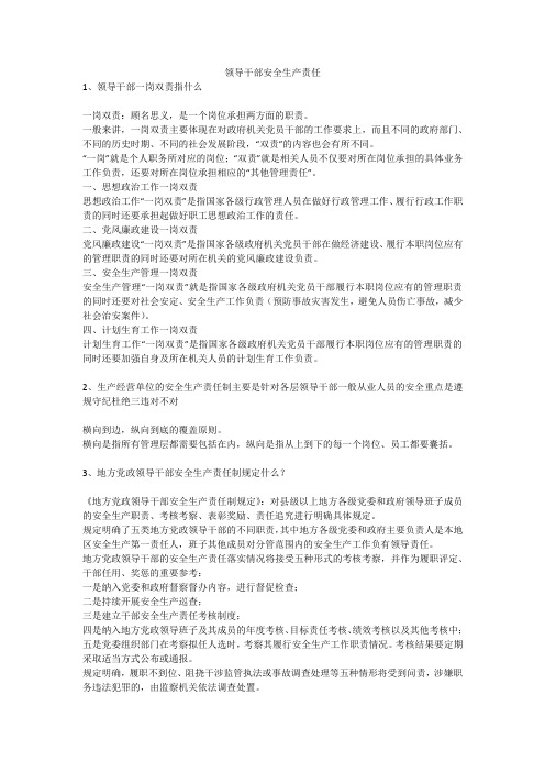 领导干部安全生产责任安全生产