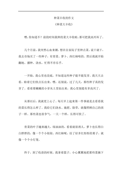 种菜丰收的作文
